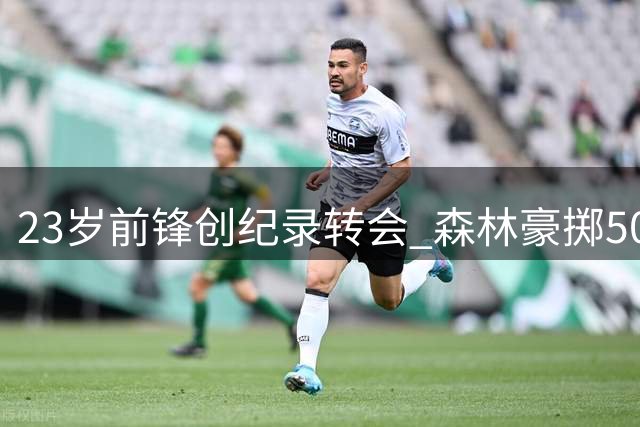 23岁前锋创纪录转会 森林豪掷5000万押注"水货